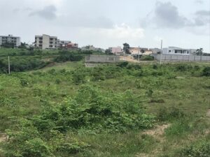 terrain 1